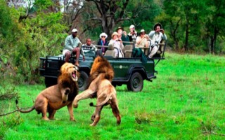 SabiSabiPGR [320x200]